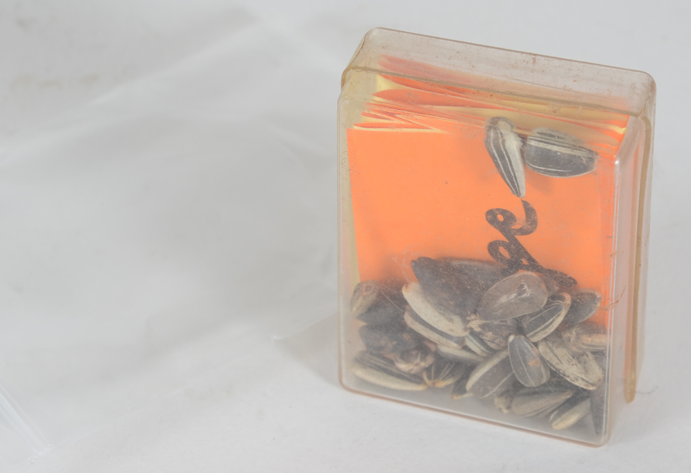 Walter Beckers — the booklet in the box with the seeds