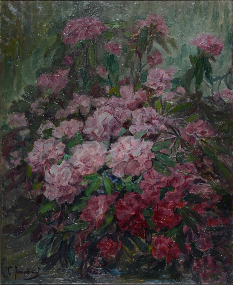 Clémence or Clementine Jonnaert — Rhododendrons, huile sur toile signée