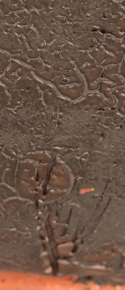 Rogier Vandeweghe — Logo mark on the side near the base