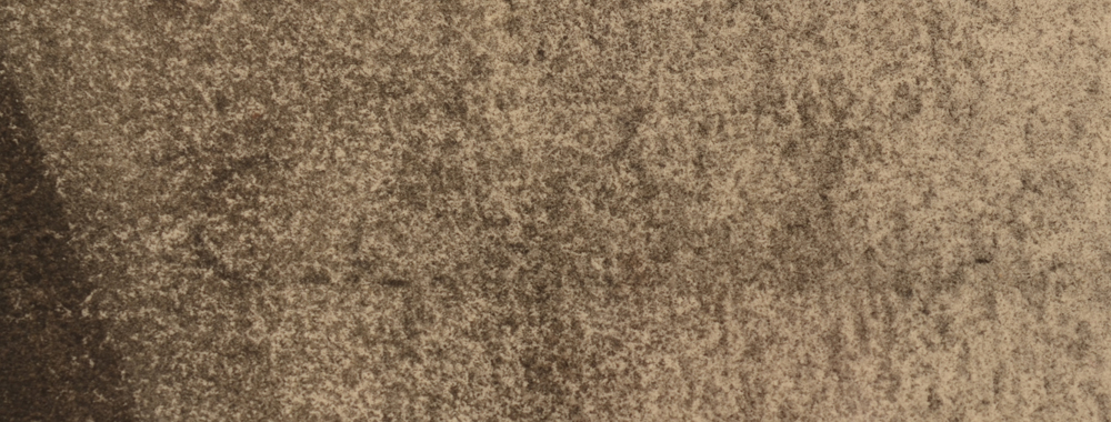 Cécile Cauterman — signature of the artist, top right.