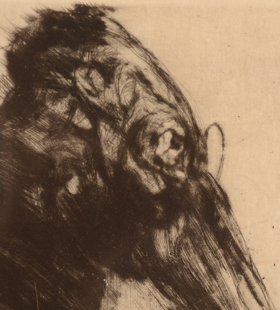 Jules De Bruycker — Detail of the head of the bird, with the typical round spectacles of the artist