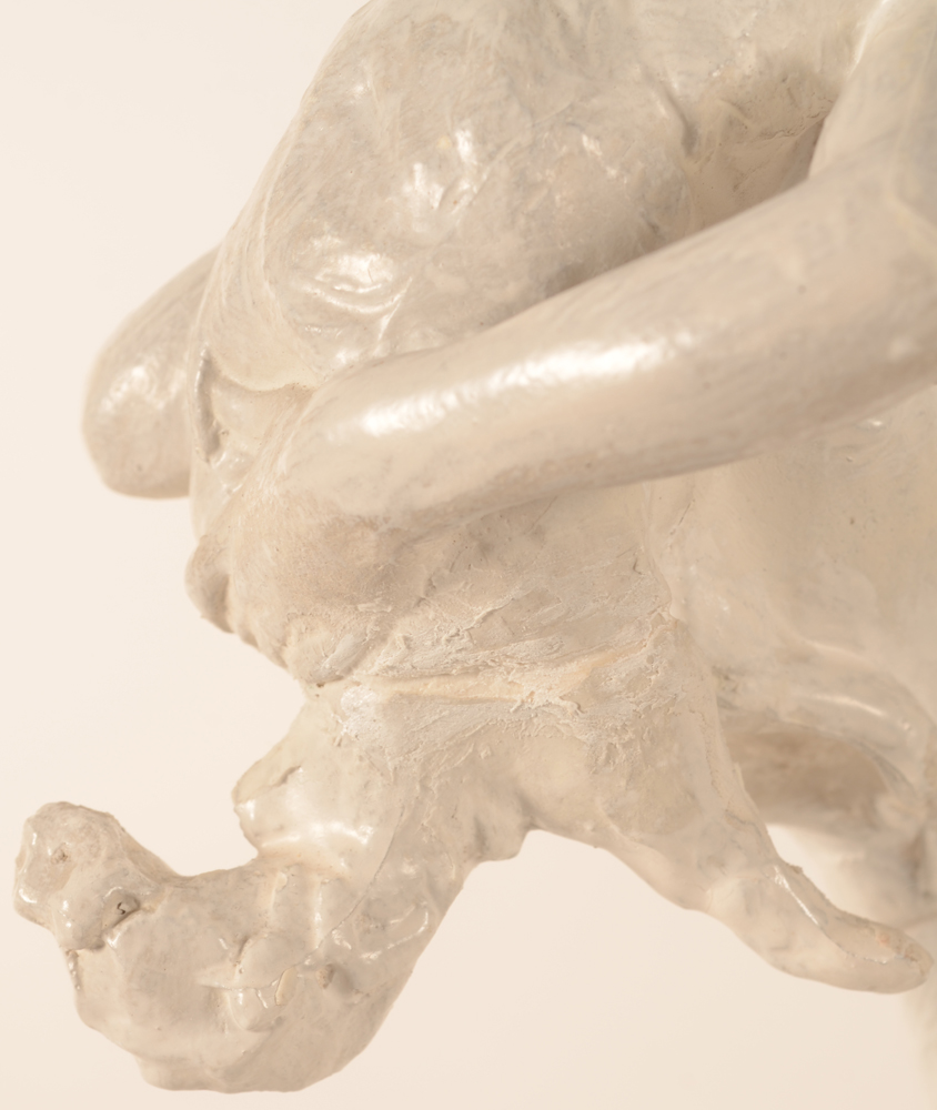 Frederic De Smet — Detail of the tail and legs of the cat