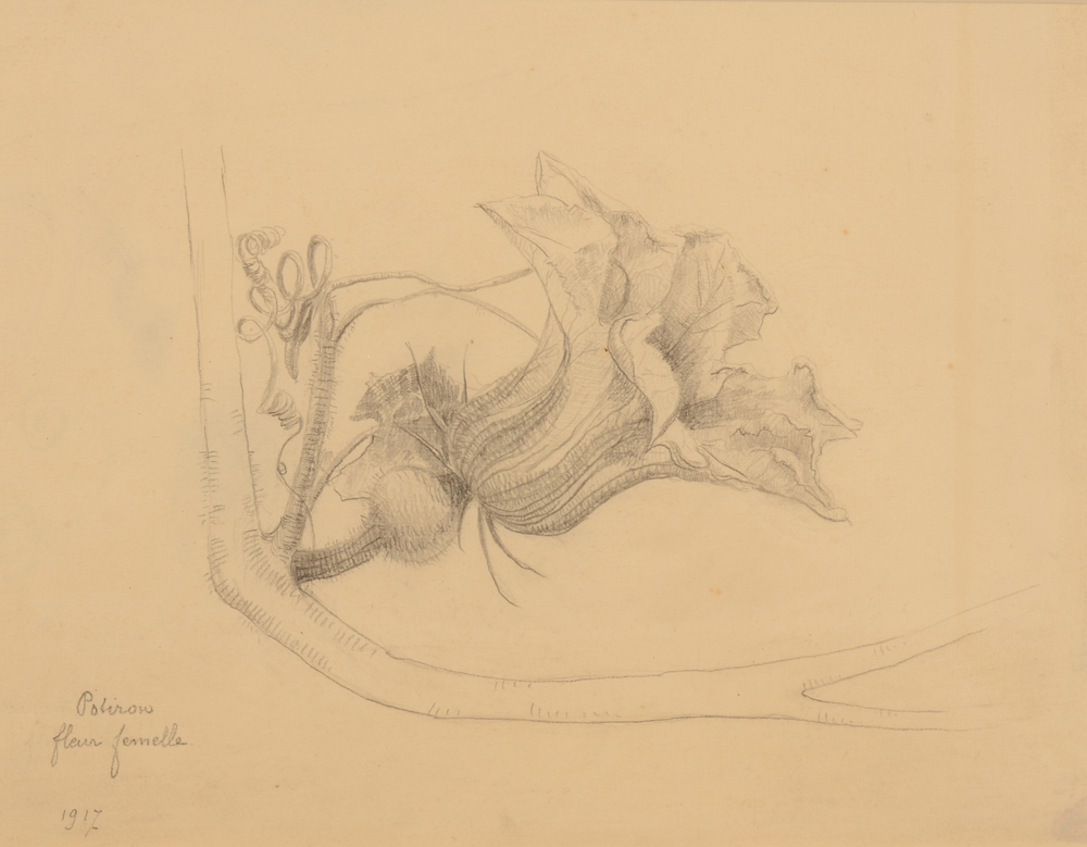 Anna de Weert — Beau dessin original, crayon sur papier daté 1917