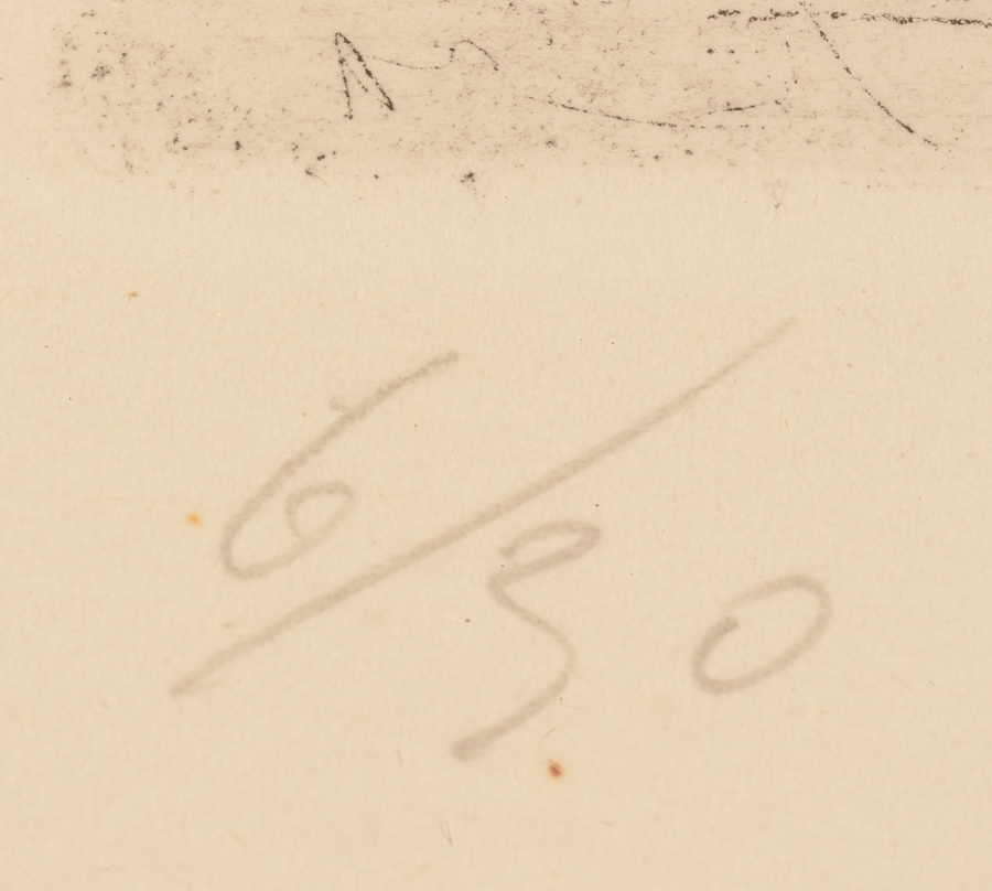 Camille D'Havé — Justification in pencil bottom left