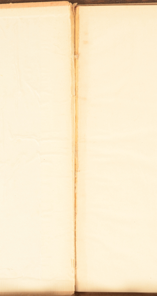 Domien Ingels monografie 1927 — Ook zijn een aantal pagian's los van de band