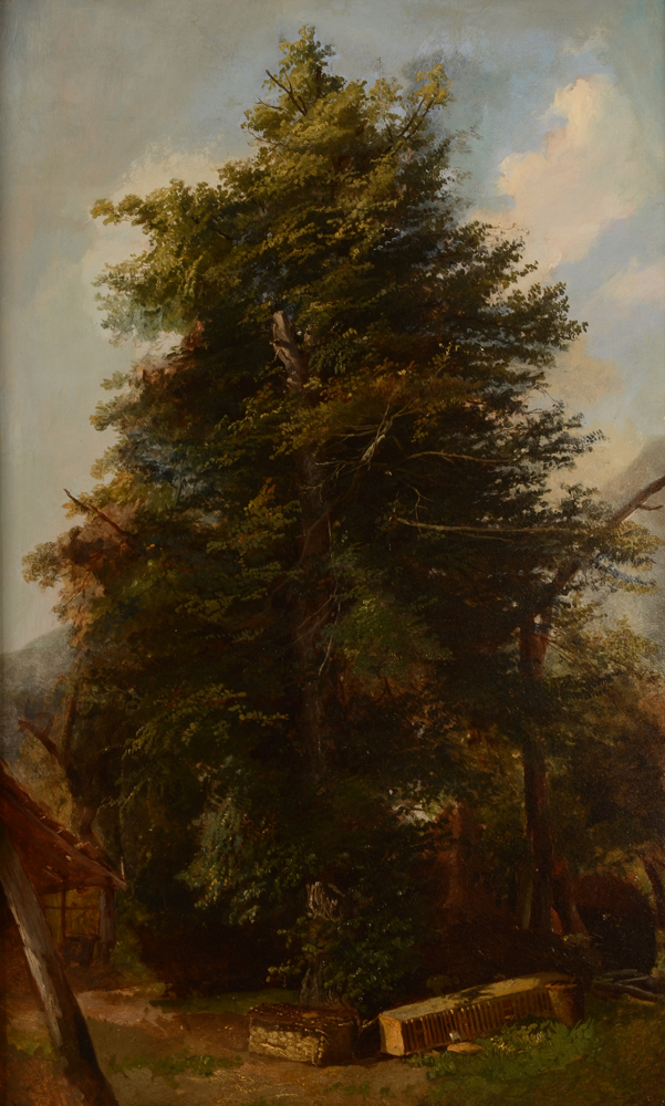 François Lamorinière Tree — Huile sur papier sur panneau
