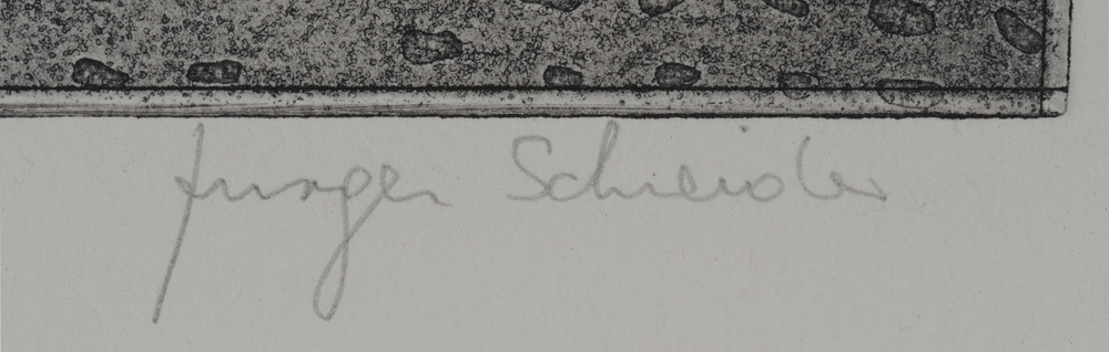 Jürgen Schneider Flower in vase  — Signature of the artist in pencil, bottom right