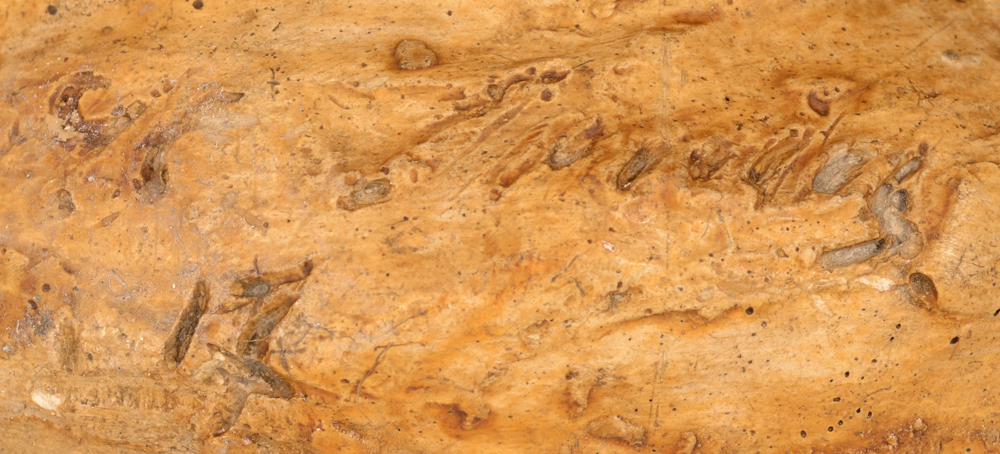 Oscar Sinia — Signature of the artist and date, incised in the wet plaster, near the base rim