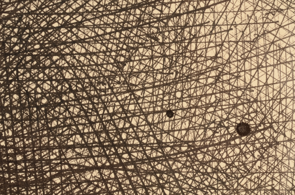 Paul Van Gysegem  — Detail of the line structure