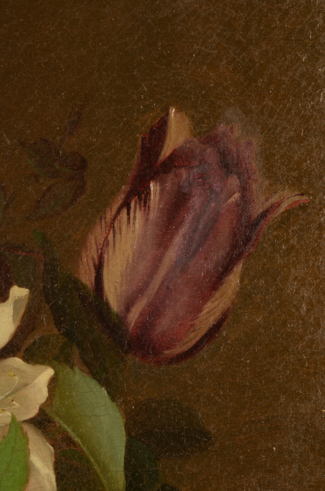 Williamson D. — Detail of an old restauration in the flower