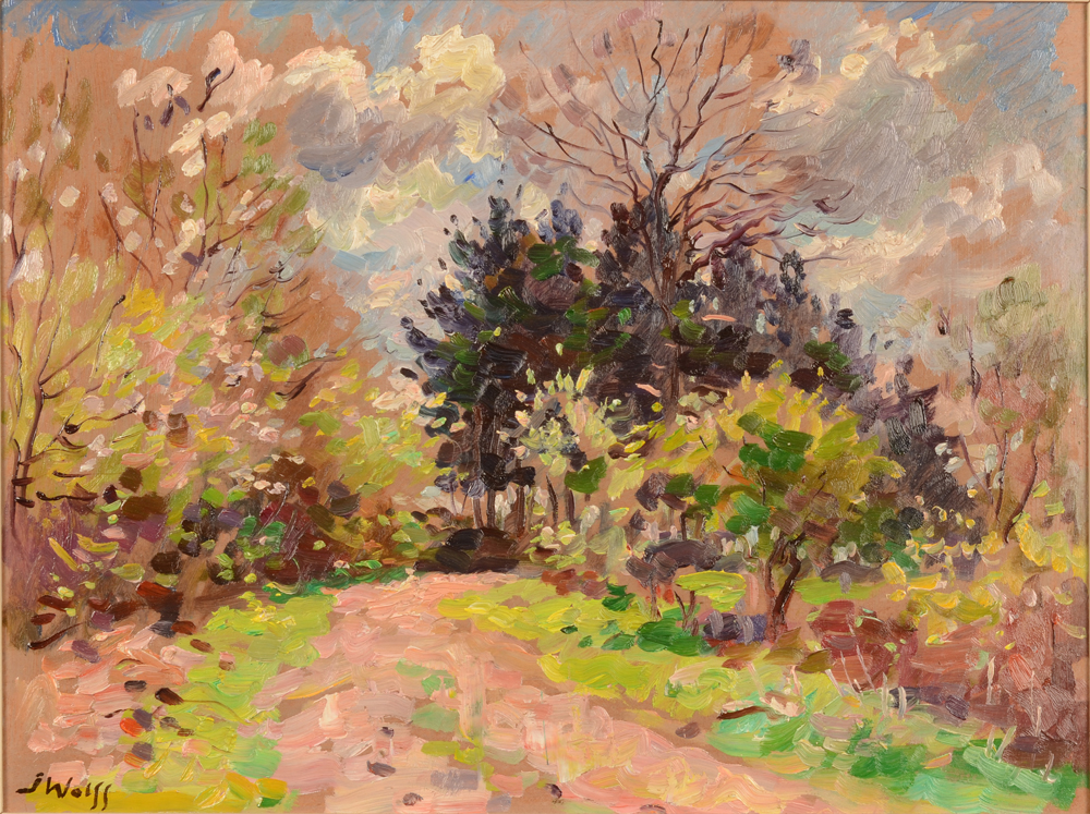 José Wolff Colourful Garden — Jardin au printemps