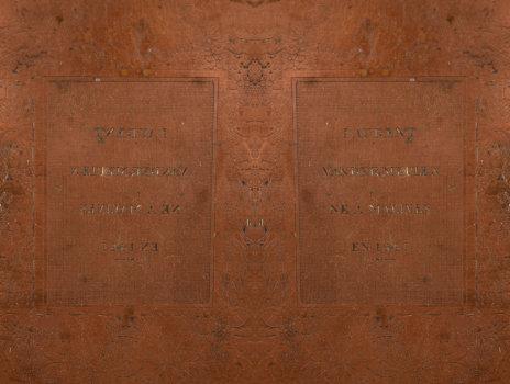 Copper printing plate Laurent Van der Meulen