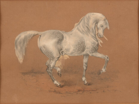 E. de Bricy (?) the white horse two drawings
