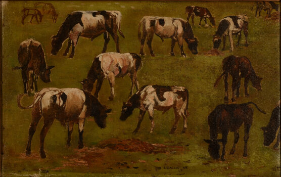Emile Salkin Cattle Grazing