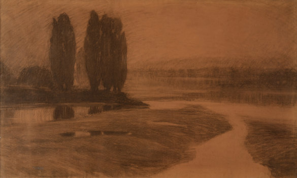 Tony Van Os the Schelde overflows into meadows