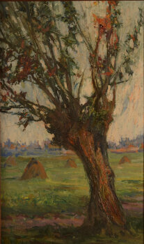 Charles Warie Pollard Willow