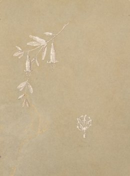 Philippe Wolfers drawing broches