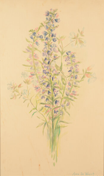 Anna de Weert a garden bouquet