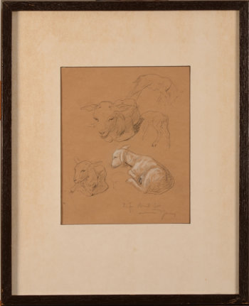 Armand Heins a study of a lamb