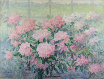 Clémence or Clementine Jonnaert Rhododendrons in the studio