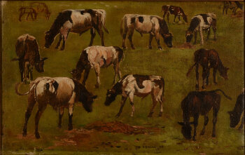 Emile Salkin Cattle Grazing