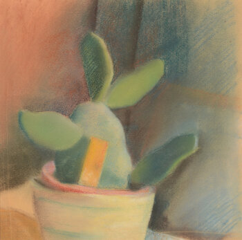 Jan W. Grinwis Plaat Stultjes The Cactus