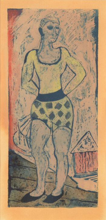 Jan W. Grinwis Plaat Stultjes The clown
