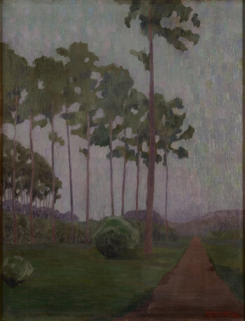 Raymond Van de Waele a mysterious landscape