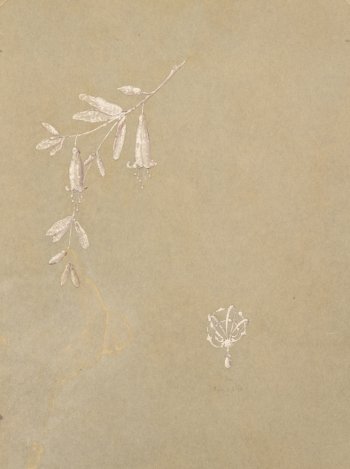 Philippe Wolfers drawing broches